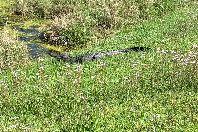 Florida Backroads E-Bike Tour - Exploring the Guana Tolomato Matanzas National Estuarine Reserve