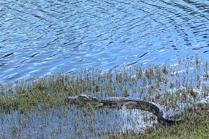 Florida Backroads E-Bike Tour - Meeting and End Point Details