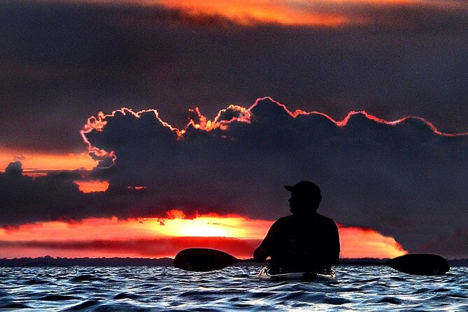 Florida Bioluminescence Clear Kayak Tour | Cocoa Beach (Kiwanis Island) - Equipment and Inclusions