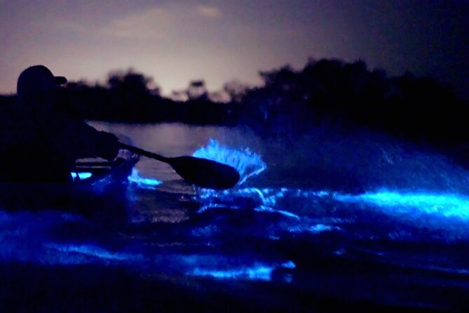 Florida Bioluminescence Clear Kayak Tour | Cocoa Beach (Kiwanis Island) - Bioluminescent Plankton Experience