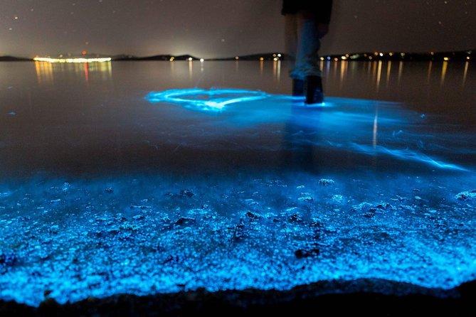 Florida Bioluminescence Kayaking Tour | Haulover Canal (Titusville) - Key Points
