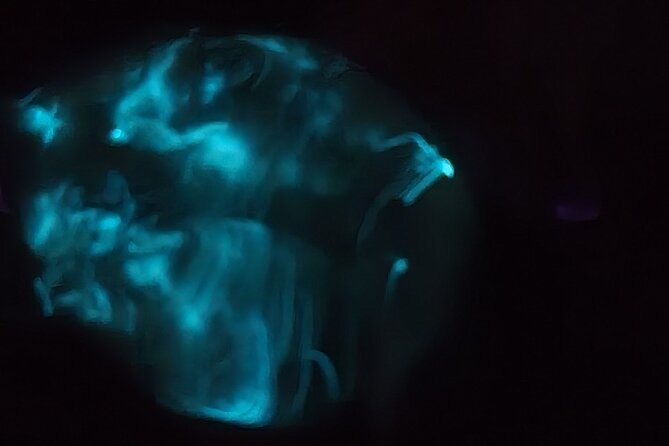 Florida Bioluminescence Kayaking Tour | Haulover Canal (Titusville) - Recommendations and Preparations