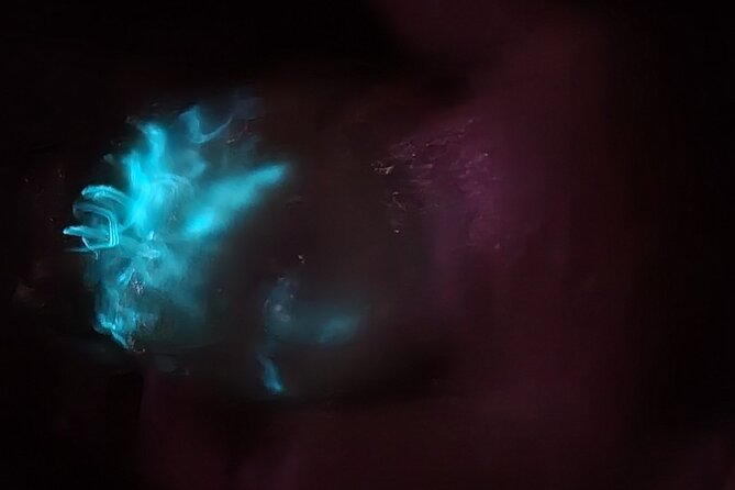 Florida Bioluminescence Kayaking Tour | Haulover Canal (Titusville) - Booking and Reservations