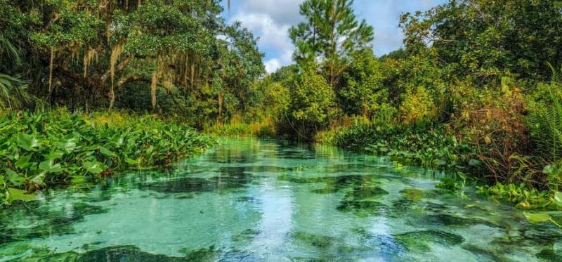 Florida: Emerald Cut Kayak Adventure - What Makes the Emerald Cut Kayak Adventure Special?