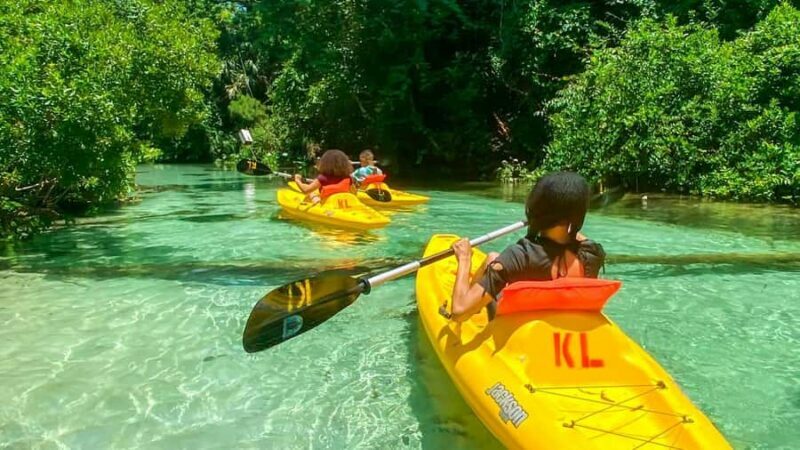 Florida: Emerald Cut Kayak Adventure - The Experience from a Traveler’s Perspective