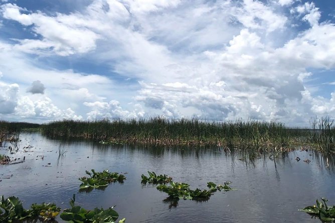 Florida Everglades Airboat Tour and Wild Florida Admission With Optional Lunch - BBQ Lunch and Alligator Souvenir