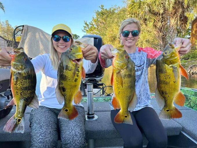 Florida Everglades Fishing Charter Near Fort Lauderdale - Wildlife Encounters