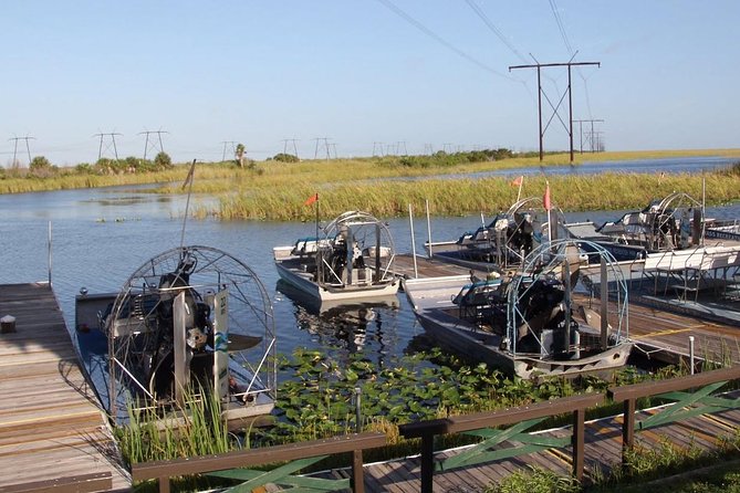 Florida Everglades Private Night Airboat Ride Tour - Wildlife Viewing Opportunities