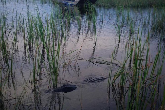 Florida Everglades Private Night Airboat Ride Tour - Accessibility and Requirements