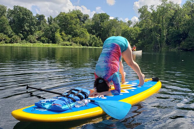 Florida Freshwater Springs Paddle Board Tour - Activity Highlights