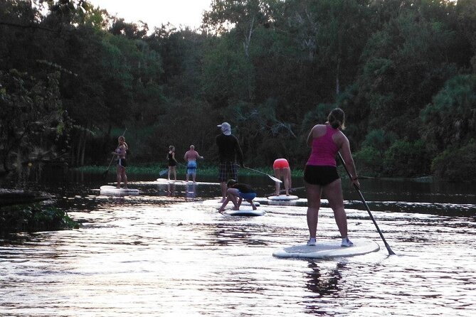 Florida Freshwater Springs Paddle Board Tour - Paddling Through Clear Waters