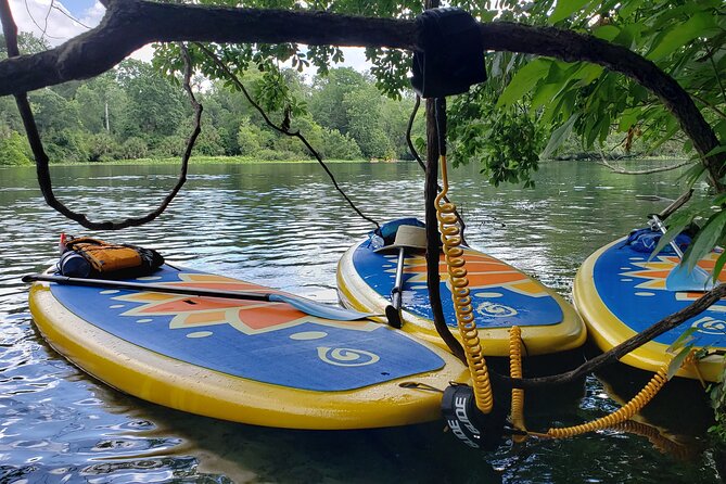 Florida Freshwater Springs Paddle Board Tour - Meeting and End Point
