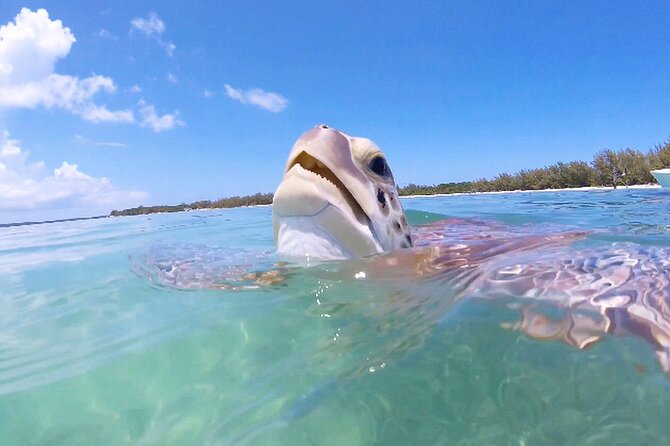 Florida Key Private Islands Exclusive Day Trip From Miami W/Activ - Overview and Pricing