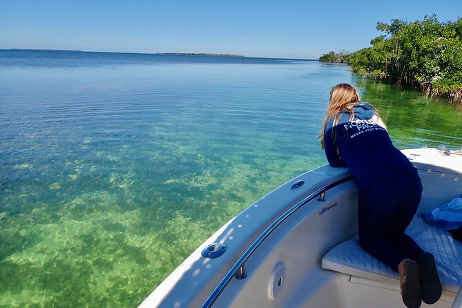 Florida Keys Backcountry Eco Tour From Big Pine Key - Wildlife and Nature Observation