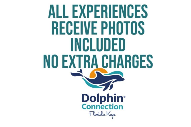 Florida Keys: Dockside Dolphin Experience - Key Highlights of the Program