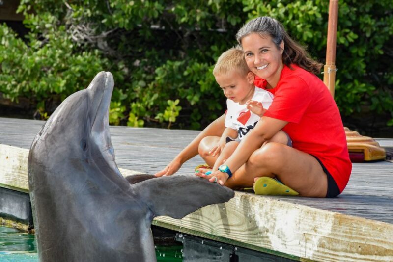 Florida Keys: Dockside Dolphin Experience - Important Things to Know