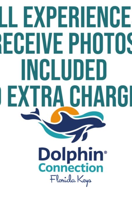 Florida Keys: Dockside Dolphin Experience - Customer Feedback and Ratings