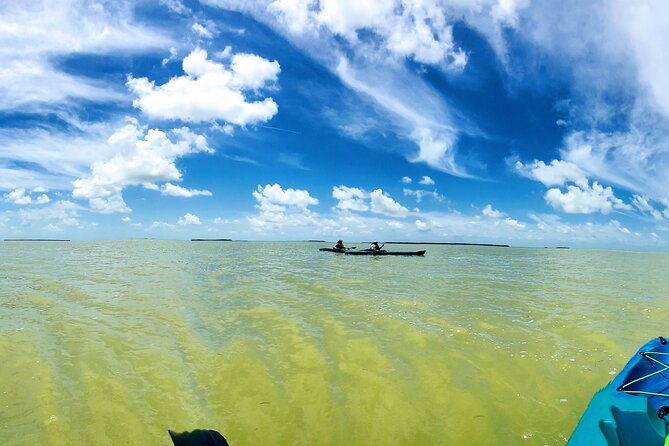 Florida Keys Eco, Paddle, and Snorkel Tour - Key Points