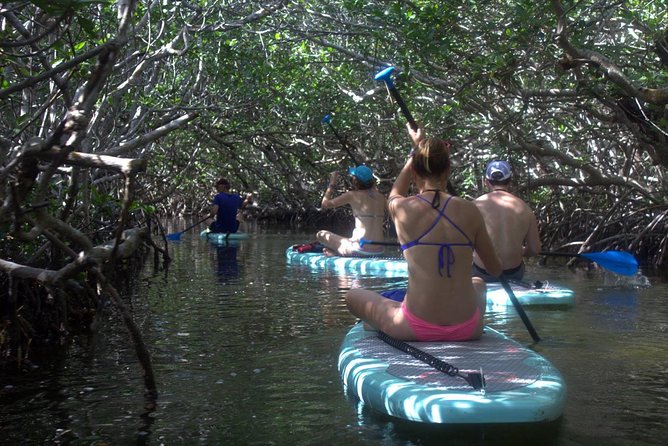Florida Keys Eco, Paddle, and Snorkel Tour - Guided by Marine Biologists