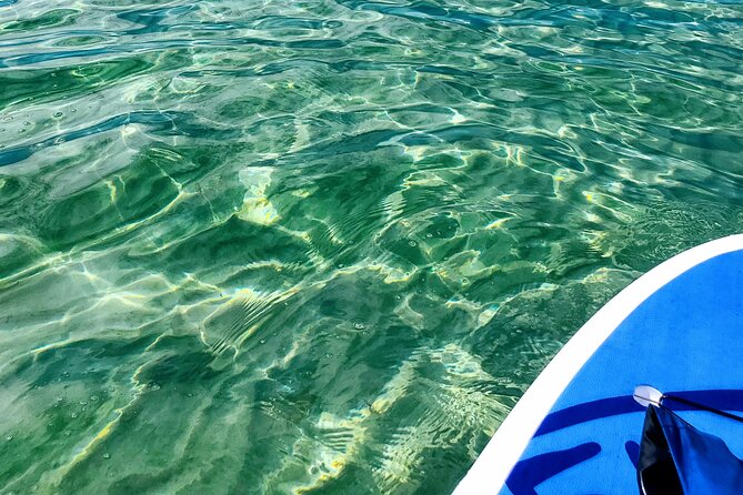 Florida Keys Eco, Paddle, and Snorkel Tour - Paddling Through Mangrove Forests