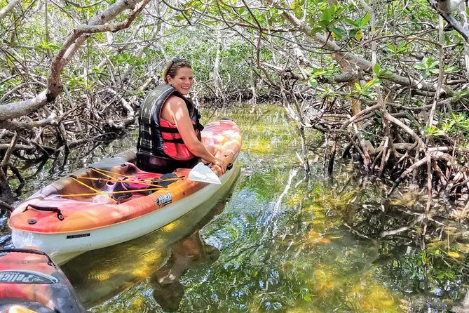 Florida Keys Eco, Paddle, and Snorkel Tour - Snorkeling Reef Locations