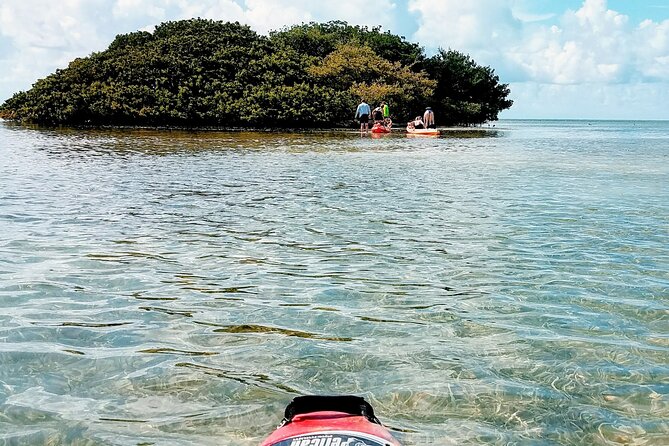Florida Keys Eco, Paddle, and Snorkel Tour - Spotting Dolphins and Manatees