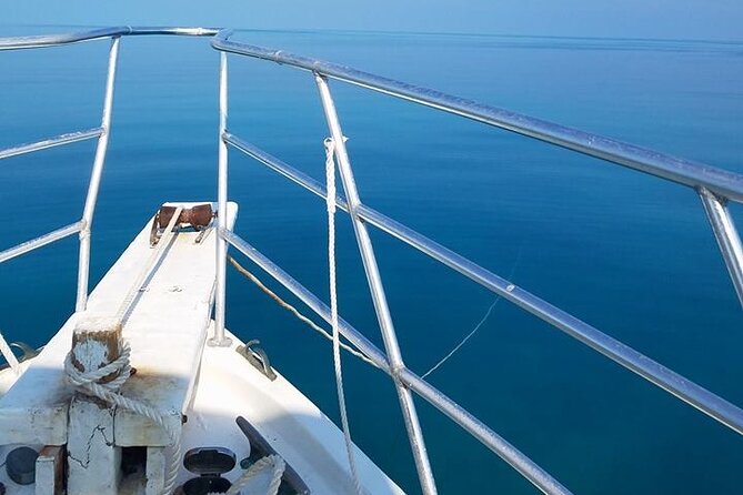 Florida Keys Eco, Paddle, and Snorkel Tour - Ecological Learning Opportunities