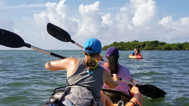 Florida Keys: Full-Day Kayak and Snorkel Reef Adventure - Important Information