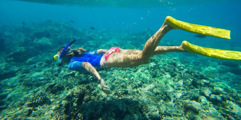Florida Keys: Full-Day Kayak and Snorkel Reef Adventure - Exploring Marine Ecosystems