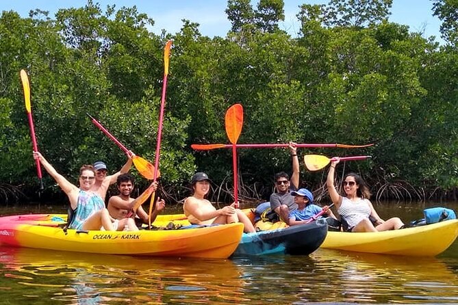 Florida Keys Mangrove Eco Tour of Manatee Bay - Exploring the Mangrove Ecosystem