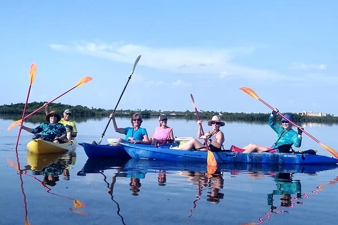 Florida Keys Mangrove Eco Tour of Manatee Bay - Discovering the Bays Flora and Fauna
