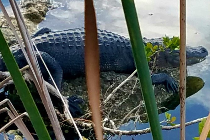 Florida Keys Nature & History Tour From Key West - Stops Along the Way