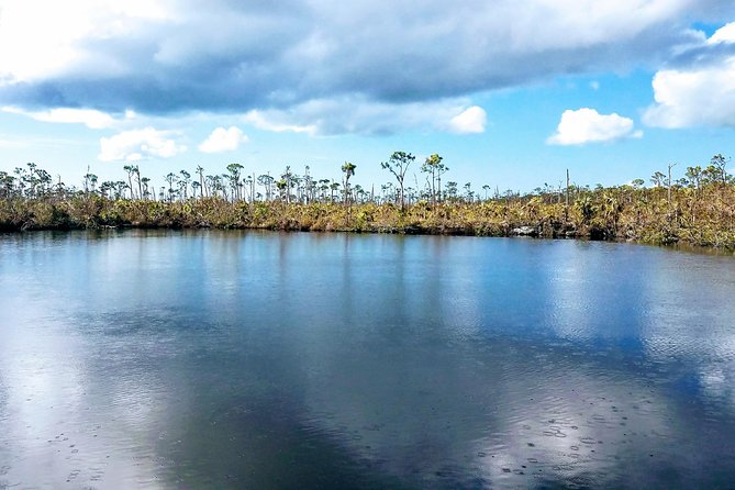 Florida Keys Nature & History Tour From Key West - Live Commentary on Board