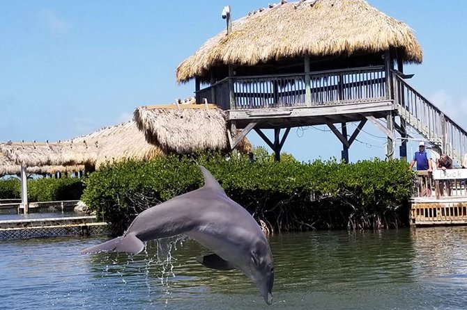 Florida Keys Tour and Private Transportation Service - Health and Accessibility