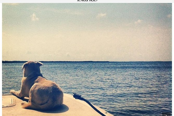 Florida Keys Tour and Private Transportation Service - Customer Reviews