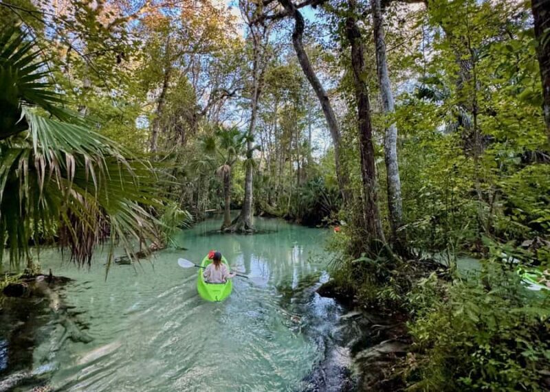 Florida: Rock Springs Run Clear Kayak Adventure - The Wildlife and Landscape Youll Encounter