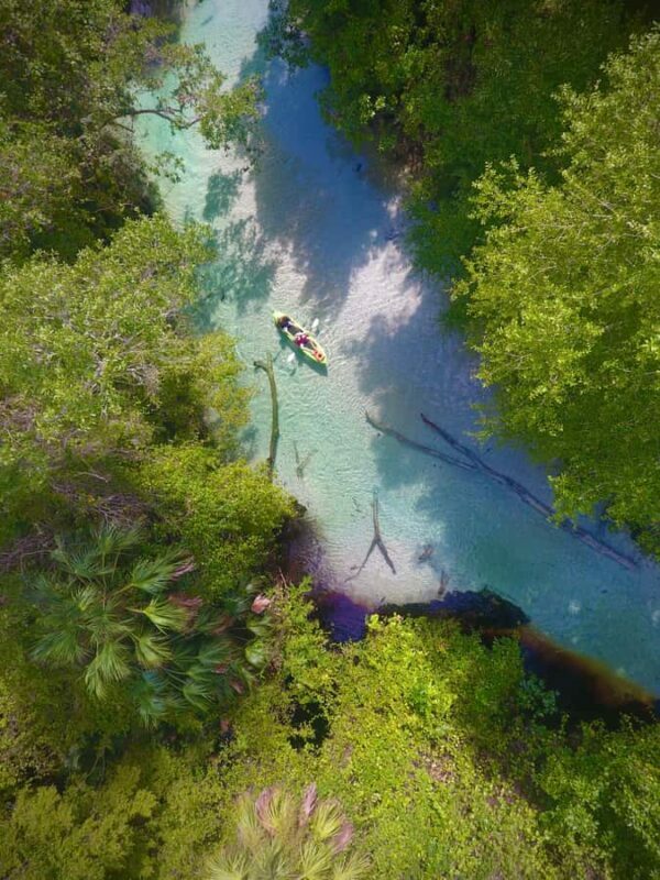 Florida: Rock Springs Run Clear Kayak Adventure - Who Will Love This Tour?