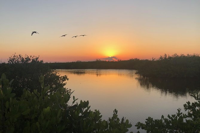 Florida Sunset and Bioluminescence Package - Meeting and Pickup