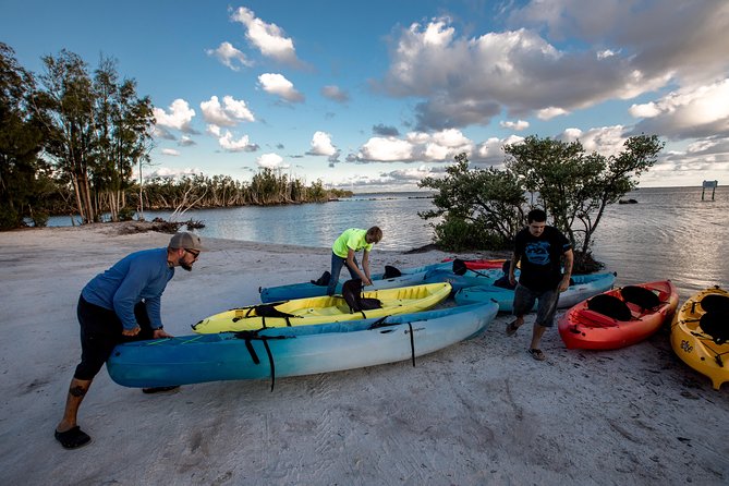 Florida Sunset Kayaking Tour (Haulover Canal) Titusville - Observing Wildlife