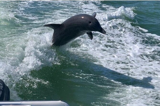 Floridas Beautiful Beaches and Waterways Private Tour - Exploring Caladesi Island