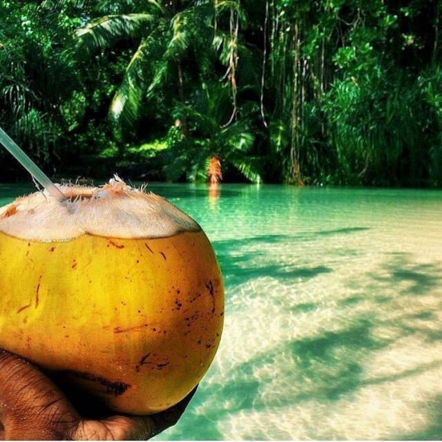 Floyds Pelican Bar and Appleton Estate Rum Experience - Pricing and Inclusions