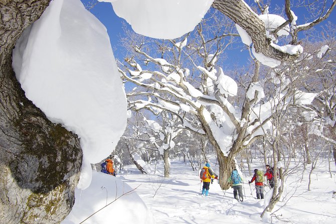 Fluffy New Snow and the Earth Beating, Goshougake Oyunuma Snowshoeing Tour - Fluffy New Snow and Earth Beating