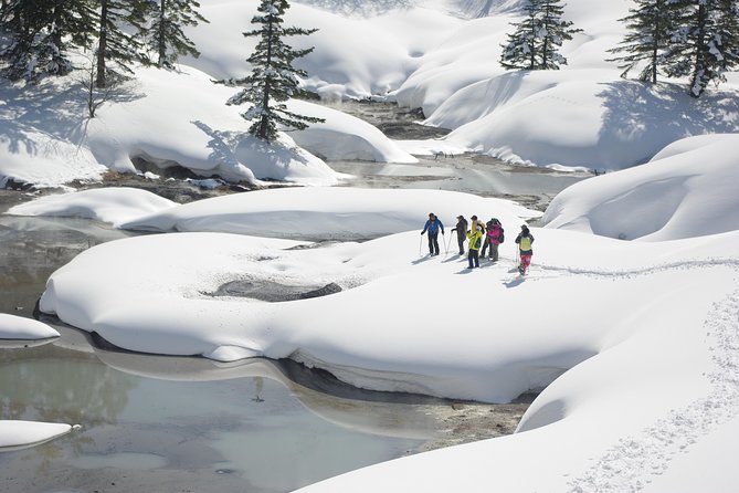 Fluffy New Snow and the Earth Beating, Goshougake Oyunuma Snowshoeing Tour - Restrictions and Requirements