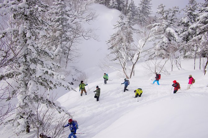 Fluffy New Snow and the Earth Beating, Goshougake Oyunuma Snowshoeing Tour - What to Expect