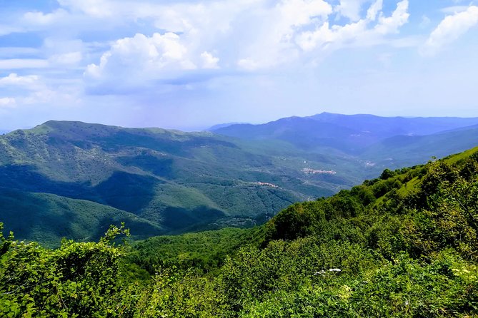 Fly and Ride (Nice Cote Dazure to Sanremo) - Pricing and Discounts