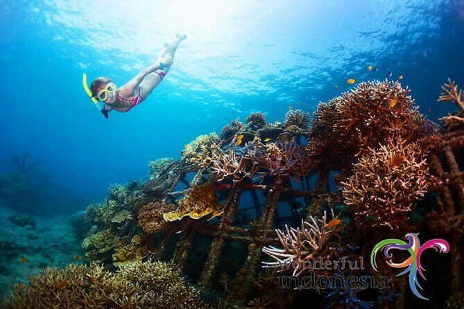 Fly Board Experience in Bali - The Sum Up