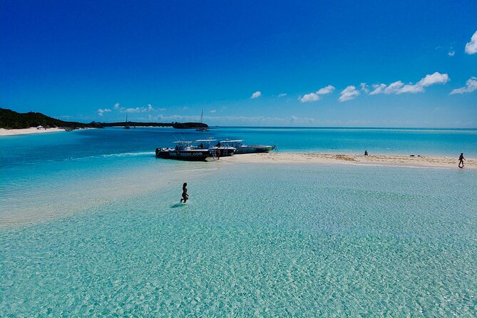 Fly To The Exuma Swimming Pigs - Booking and Confirmation