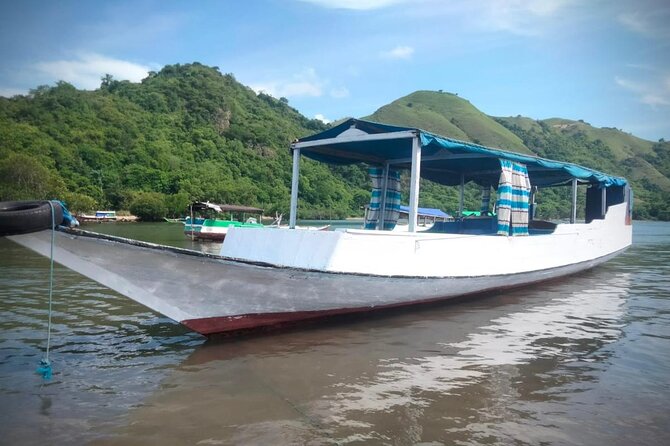 Flying Fox Island Sunset Cruise Private Boat Charter Labuan Bajo - Health and Accessibility