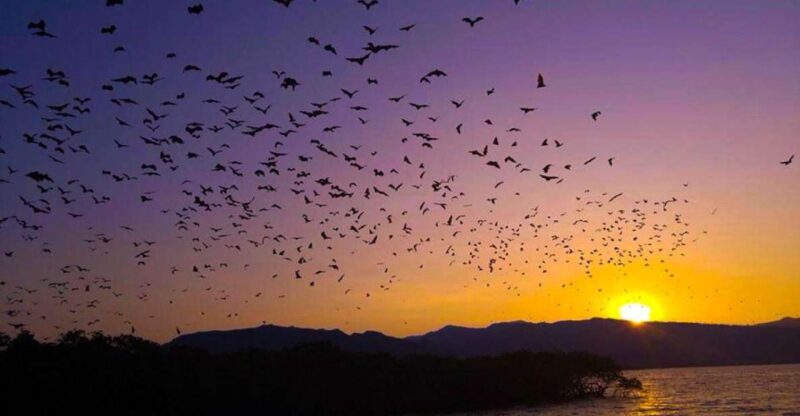 Flying Fox Sunset Cruise Private Boat Charter Labuan Bajo - Key Points