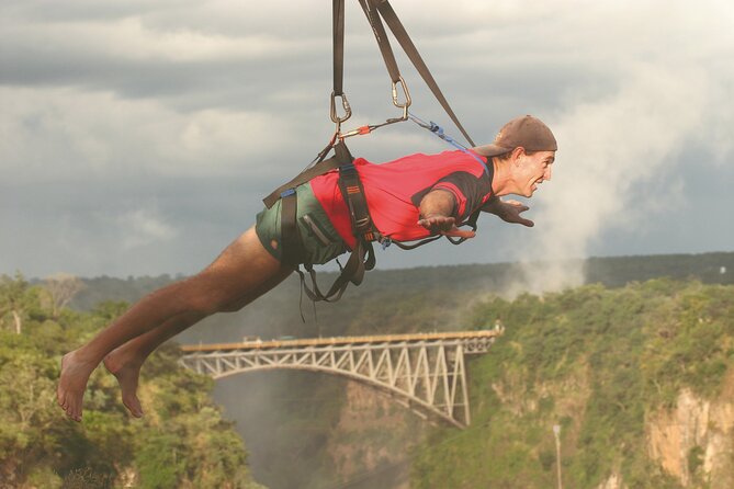 Flying Fox (Zimbabwe) - Reviews and Ratings